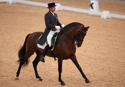 Doma clásica en ediciones anteriores