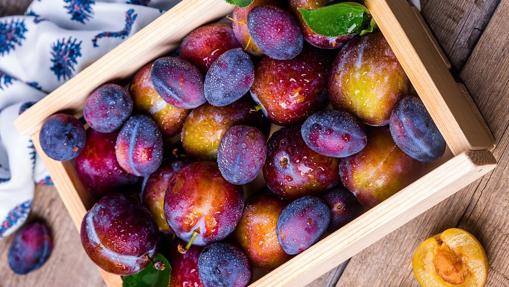 Las nuevas tecnologías son su mejor aliado