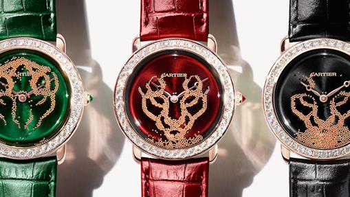 Modelo Révélation D’une Panthère