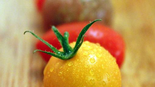 Rosa, Kumato y Corazón de buey son algunas de las variedades más exclusivas de tomate