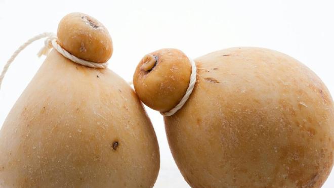 Dos piezas de caciocavallo podolico