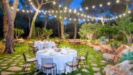 Imagen principal de la ficha