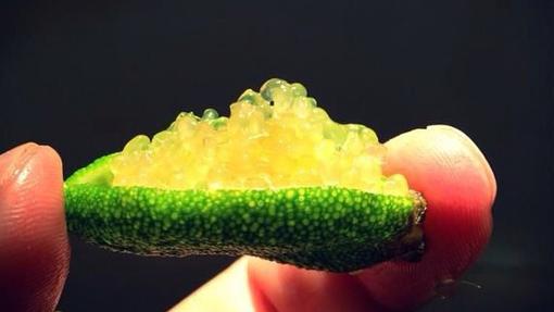 La textura de la pulpa de finger lime se parece al caviar