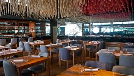 Imagen principal de la ficha