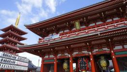 Imagen principal de la ficha