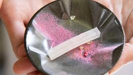 Imagen principal de la ficha