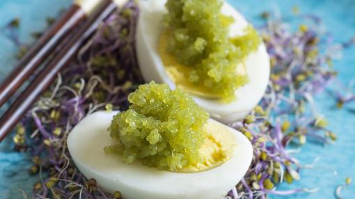 Las algas son un alimento rico en proteínas, minerales, vitaminas y antioxidantes