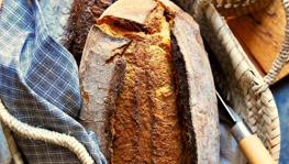 Imagen principal de la ficha