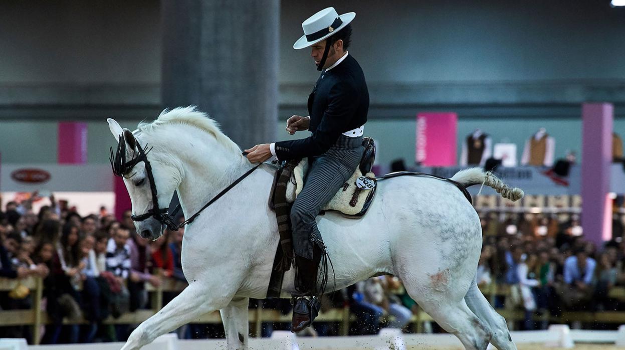 Madrid Horse Week 2018: Lo que no te puedes perder