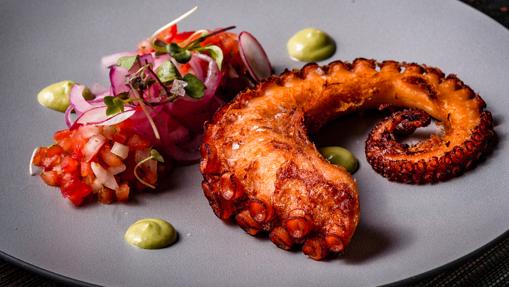 Pulpo frito de Puerto Progreso de Itzac