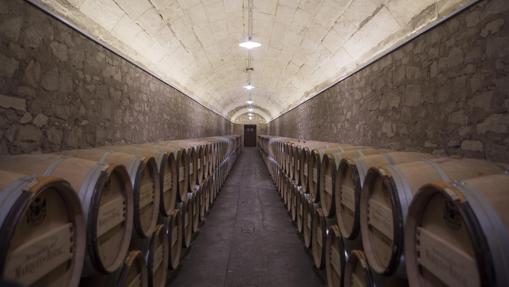 Barricas de la bodega Marqués de Riscal