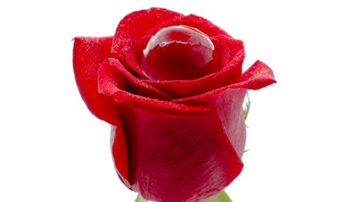 La Rosa de Cakes &amp; Bubbles, un postre de autor de Albert Adrià