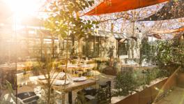 Imagen principal de la ficha