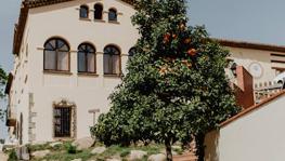 Imagen principal de la ficha