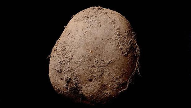 La patata de un millón de euros