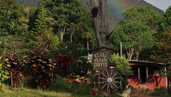 La finca en donde se elabora el producto