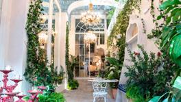 Imagen principal de la ficha