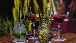 Imagen principal de la ficha