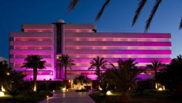 Imagen principal de la ficha