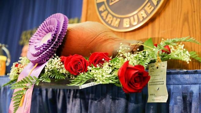 El jamón del millón de dólares subastado en la Feria Estatal de Kentucky