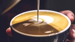 Imagen principal de la ficha