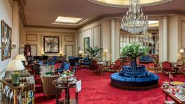 Imagen principal de la ficha