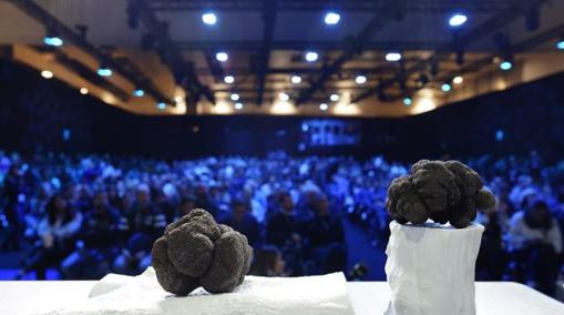 La trufa del desierto se da a conocer en Madrid Fusión