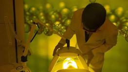 Imagen principal de la ficha