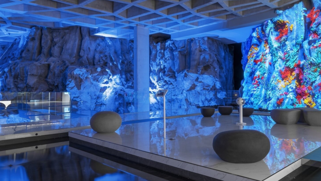 Interiores inspirados en los corales de la isla