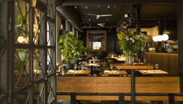 Imagen principal de la ficha