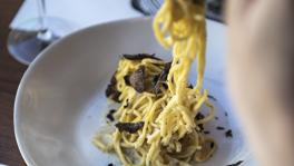 Imagen principal de la ficha