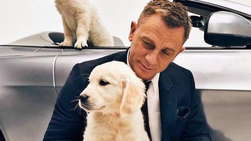 Daniel Craig