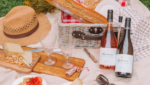 La picnic de Azpilicueta y Cristina Oria (155€)