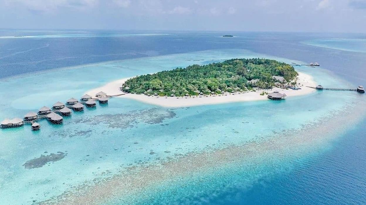 La subasta es una de las más esperadas