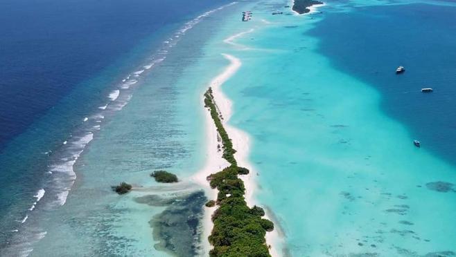 La subasta viene regulada por el gobierno