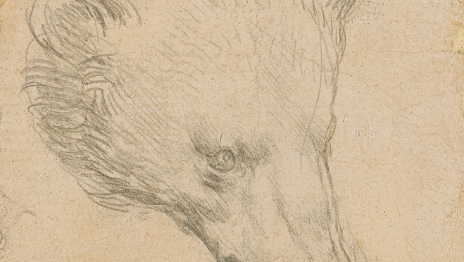 Este boeto está hecho con una punta de plata, técnica que le enseñó Andrea del Verrocchio
