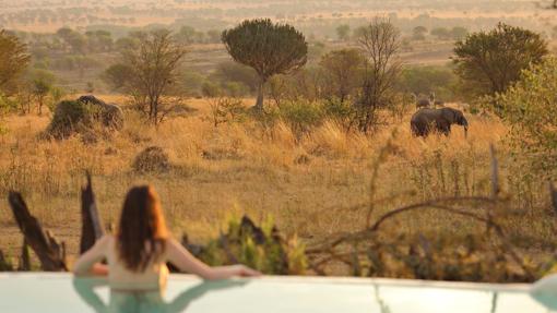 Ahora los viajes se pagan en criptomonedas