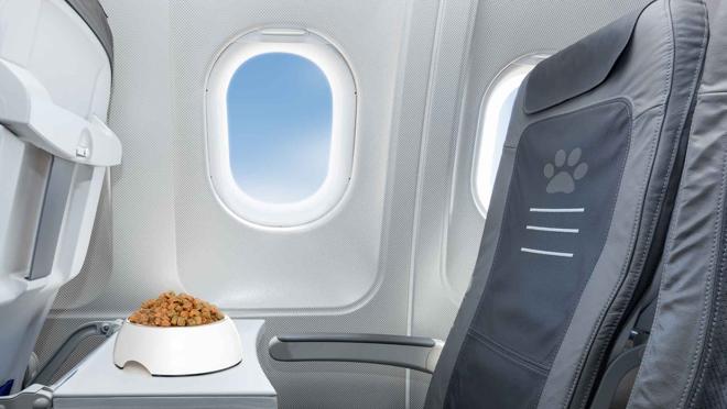 Estos jets incluyen todo tipo de servicios para los animales como catering y juguetes