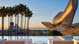 Imagen principal de la ficha