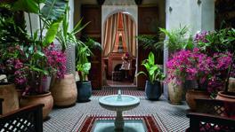 Imagen principal de la ficha