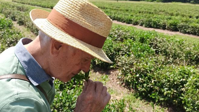 Alfredo Carrai, fundador de La Via del Tè