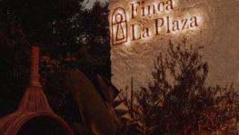 Imagen principal de la ficha