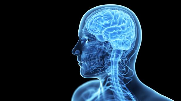 Desarrollan un «marcapasos cerebral» para mejorar la memoria