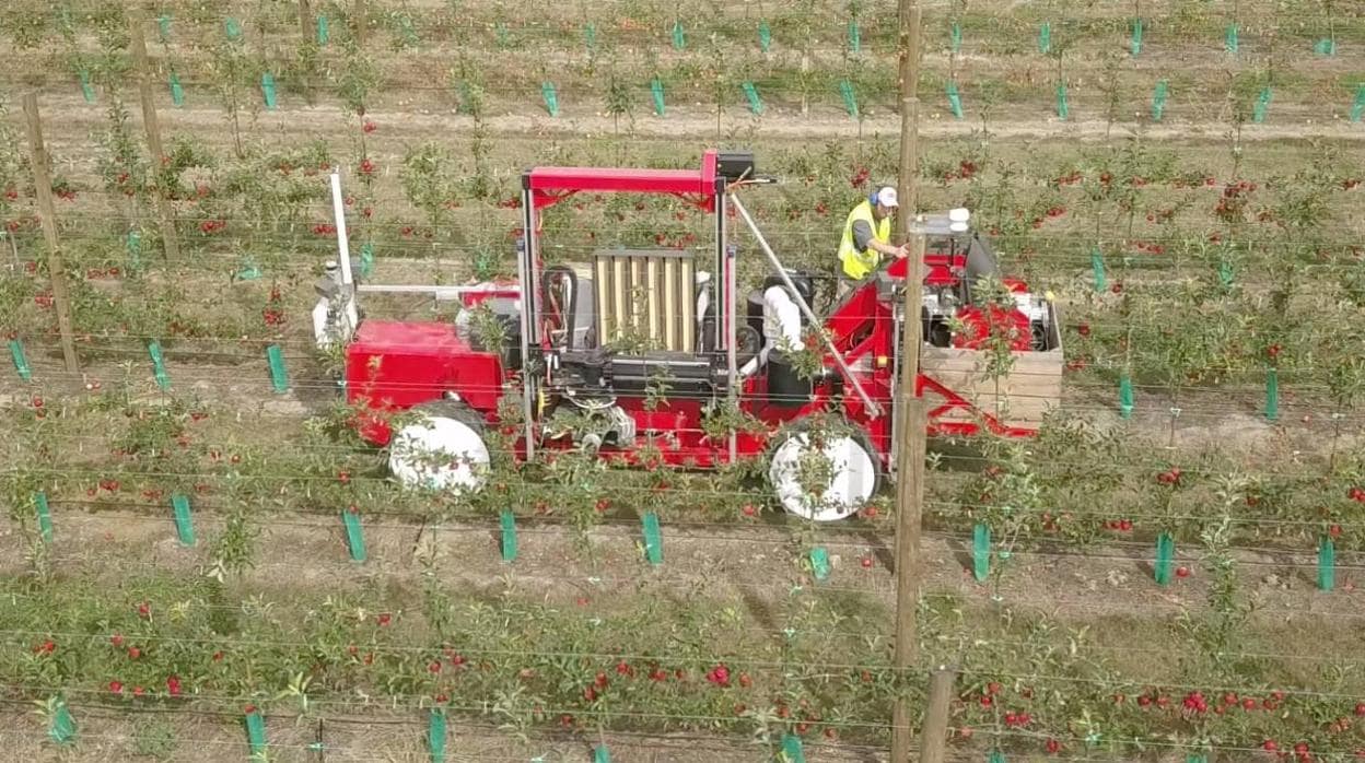 El robot de Abundant Robotics recolectando manzanas en uno de los campos de T&amp;G Global en Nueva Zelanda