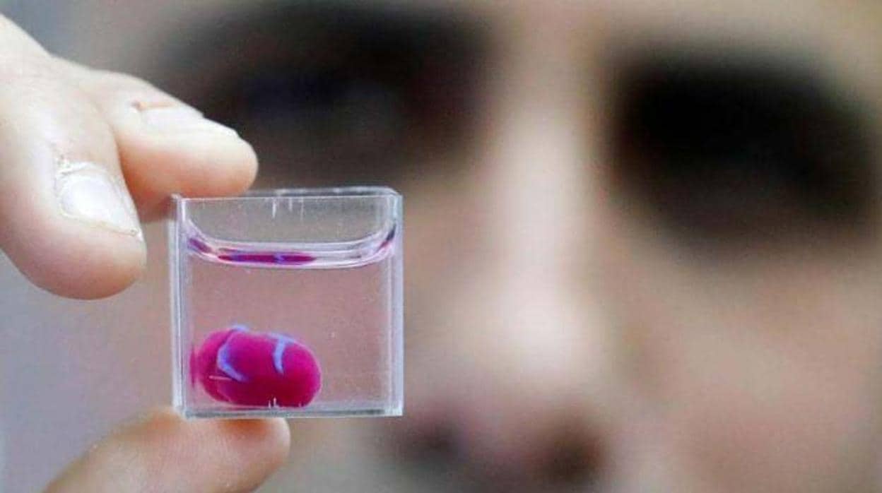 Científicos israelíes crean el primer corazón en 3D con tejido humano