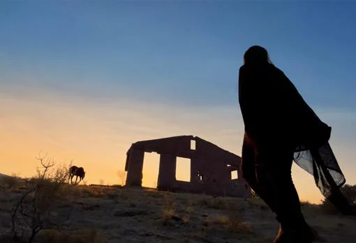 El cortometraje de Emmanuel Lubezki que demuestra lo que es capaz la cámara del iPhone 12 Pro en grabación de vídeo