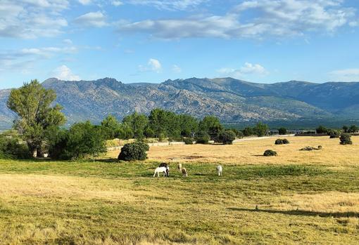 Fotografía capturada con el Relame GT 5G