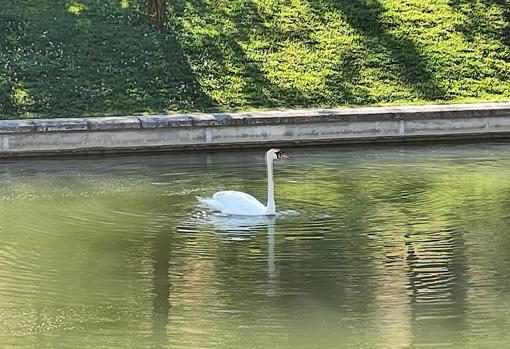 Fotografía con 3 aumentos de Zoom capturada con un GT 5G