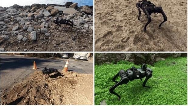 Crean una Inteligencia Artifical que enseña a los robots a caminar como seres humanos