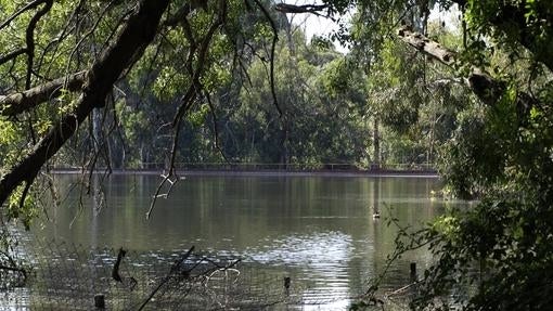 Diez excursiones fáciles a una hora de Madrid